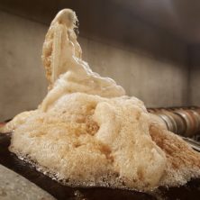 Fermentation