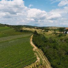 Drone bollenberg