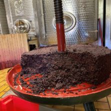 gateau de marc pinot noir